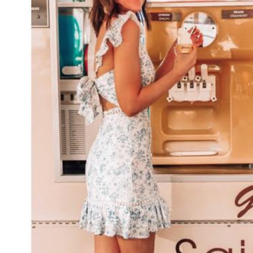 Floral Ruffle Sleeve Mini Dress